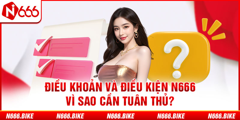 Điều khoản và điều kiện N666 - Vì sao cần tuân thủ?